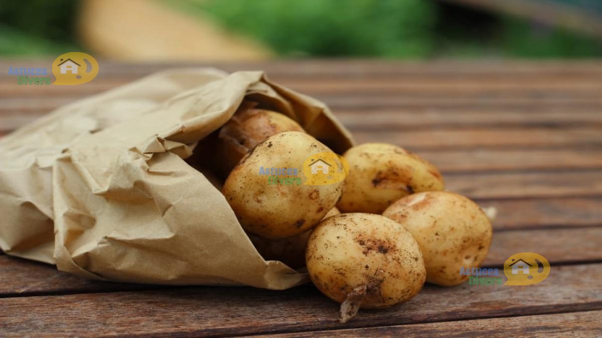 Pommes de terre : 8 Astuces efficaces pour conserver naturellement à ...
