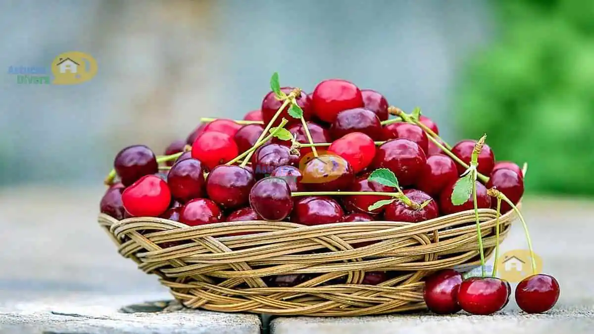 Des Cerises Dénoyautées: 3 Astuces Fiables Et Faciles
