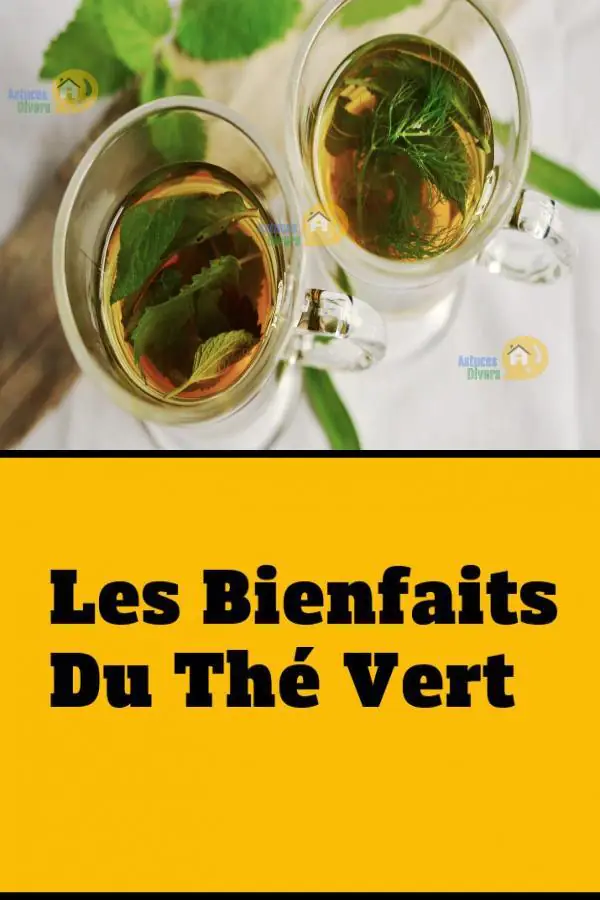 Mis à part son gout, le thé vert a plusieurs vertus.