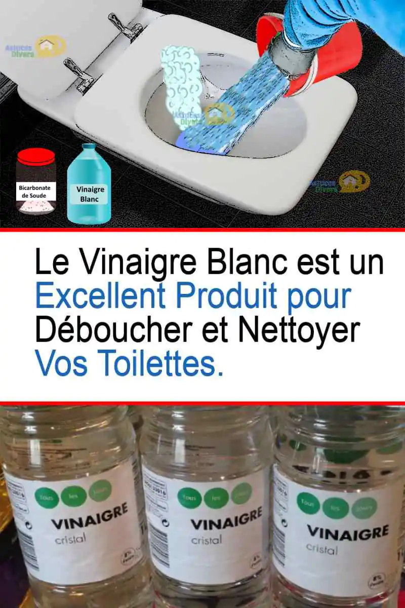 Vinaigre blanc : Astuce économique pour nettoyer votre toilette.