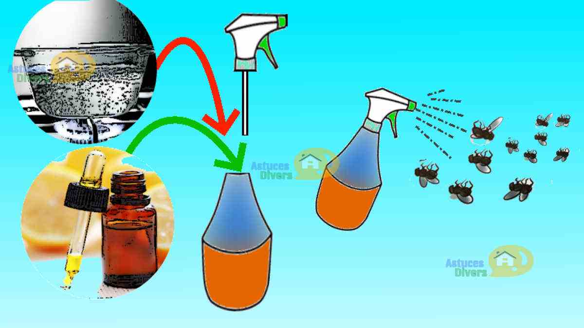 Astuces Naturelles Pour Se Débarrasser Des Fourmis Methodes Pour Eliminer Les Fourmis De Sa Maison