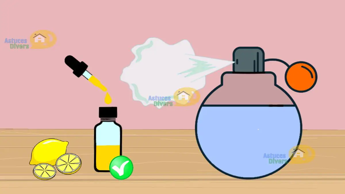 Parfum D'intérieur Naturel Fait Maison